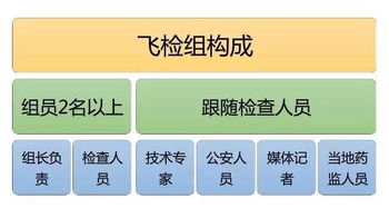 图解药店飞检全过程 数字内容如何让监管与服务更高效