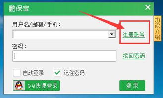 鹏保宝数字内容制作服务 从入门到精通的完整教程